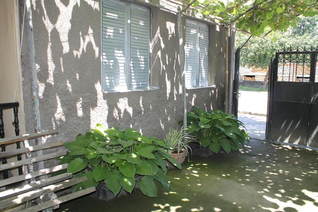 Hotel The Kiwi House Lagodechi Exterior foto
